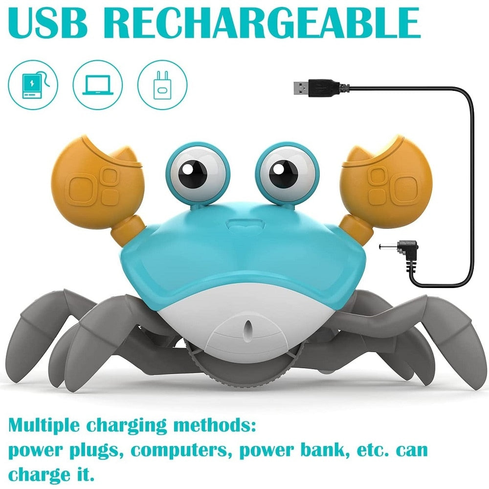 Crawling Crab Toy